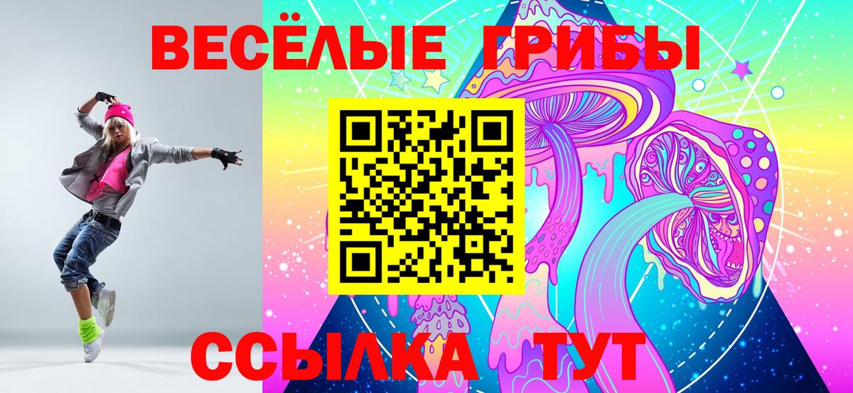 Галлюциногенные грибы Psilocybine cubensis Люберцы